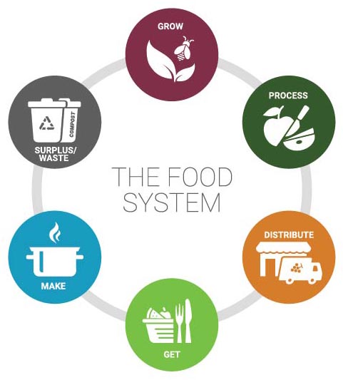 Food System Categories in Circle. Grow. Process. Distribute. Get. Make. and Surplus or Waste.