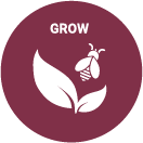 Grow Food system icon. Bee buzzing around a set of leaves.